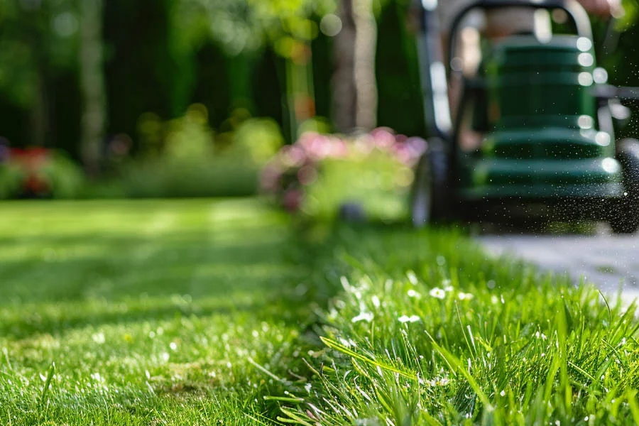 self powered lawn mower
